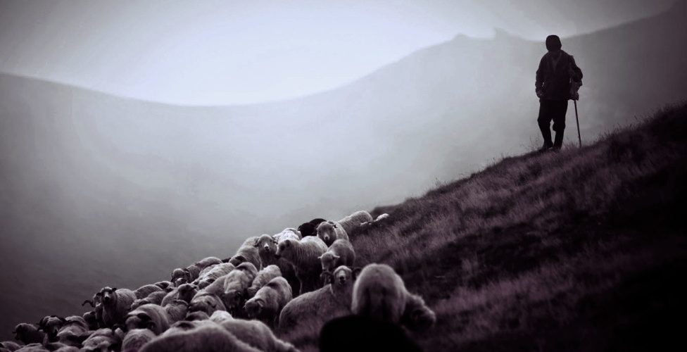 The Timeless Voice: Shepherds, lead us into dark valleys